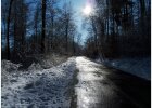 Sonnenuntergang im Winter, Schnee, kahle Bäume