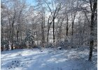 verschneiter Wald auf dem Campus